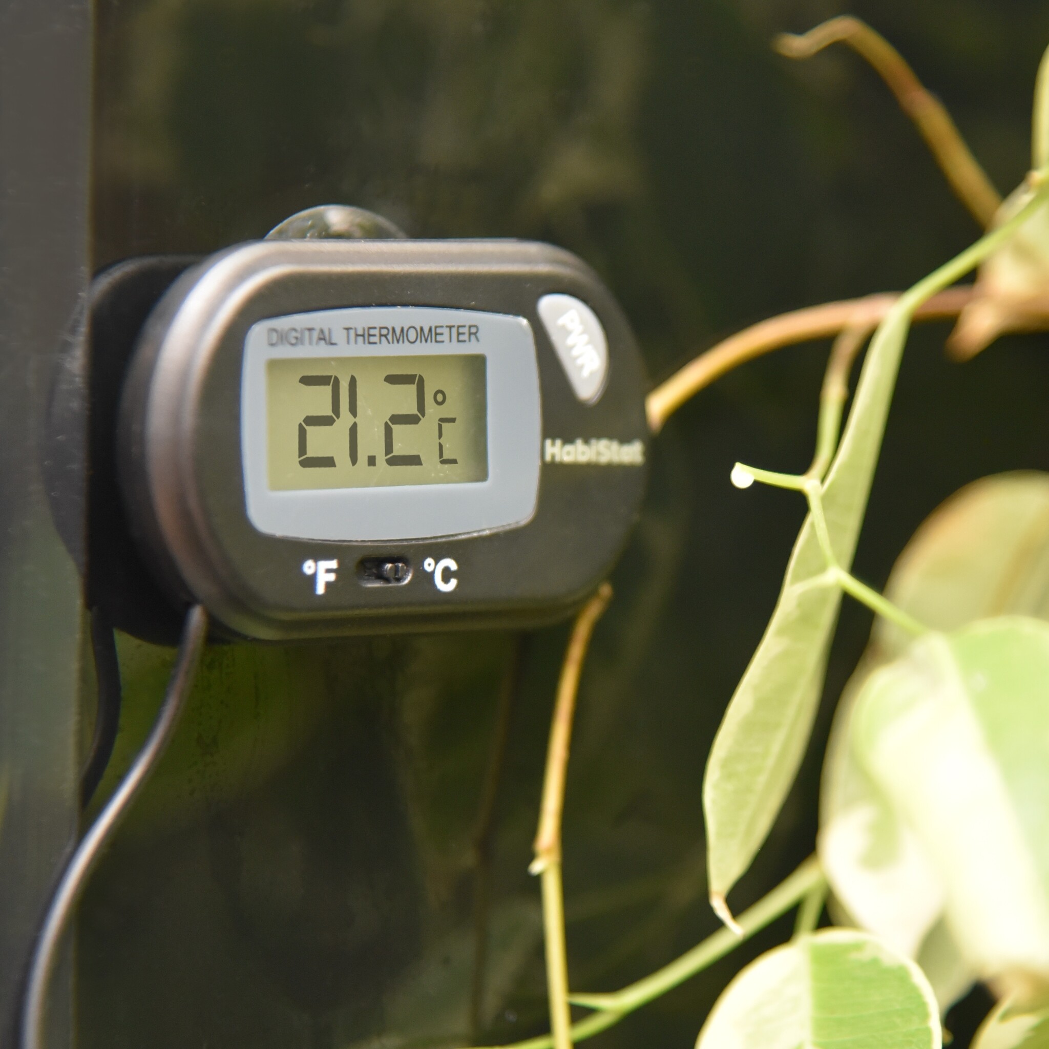 Habistat Digitale Terrarium Thermometer
