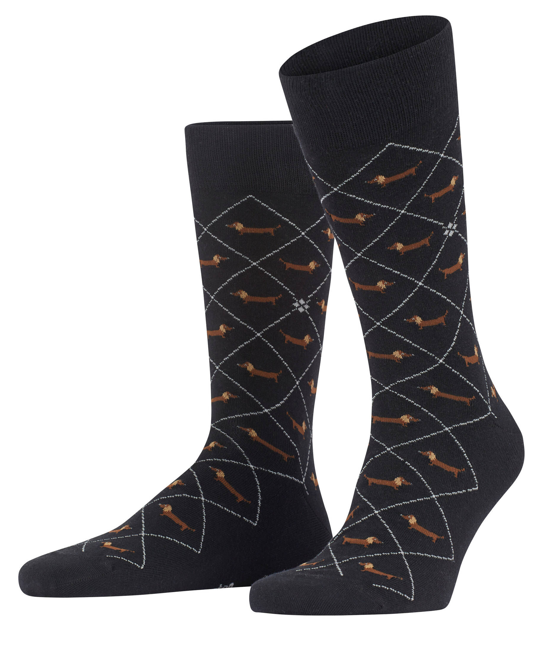 Burlington| Herren Socken Dachshund