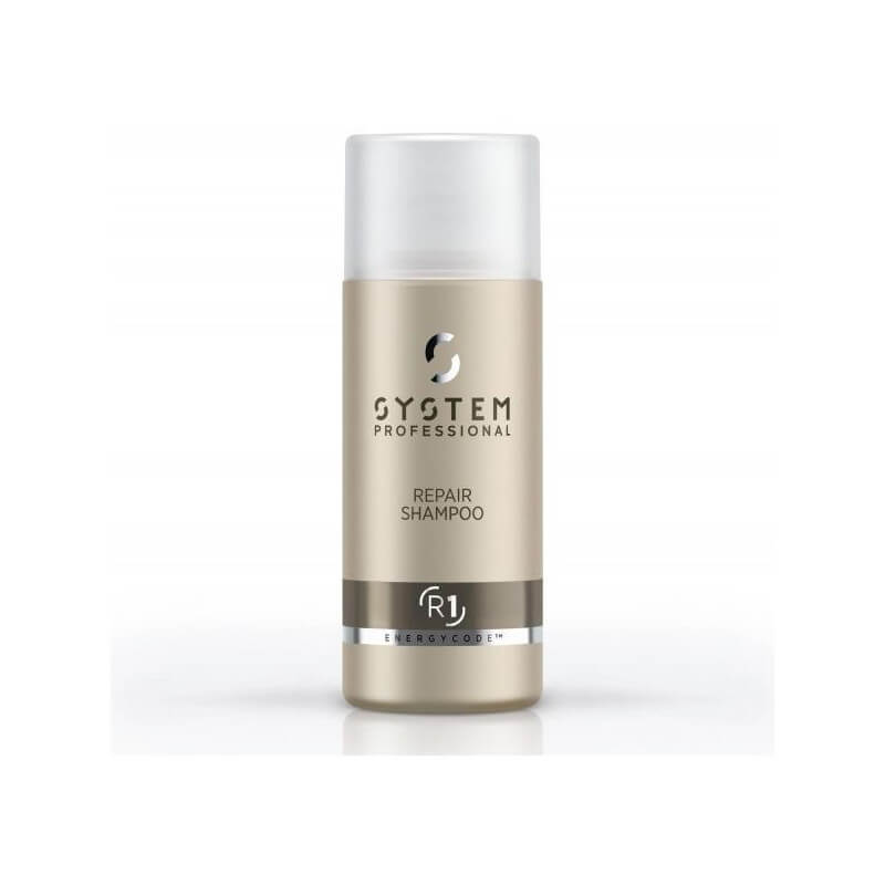 Duo voyage Shampooing et Masque Repair System Professionals