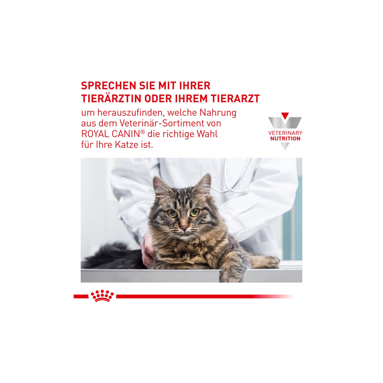 ROYAL CANIN Veterinary Diabetic 12x85g