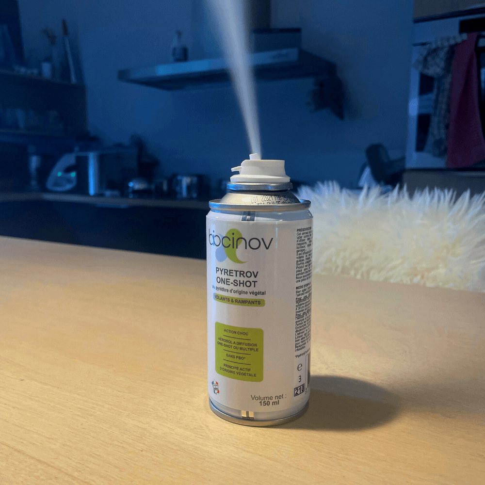Aérosol pyretrov one-shot insectes volants et rampants