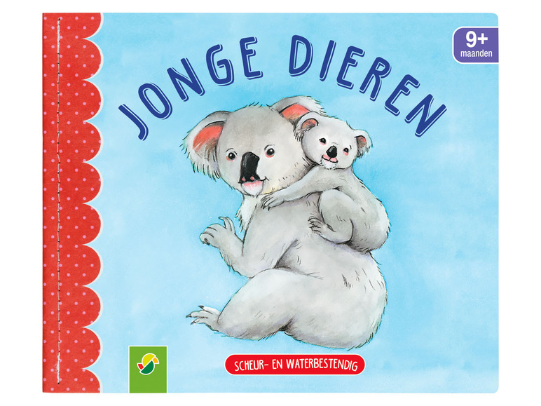 Kinderboek