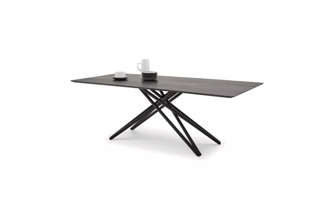 Esstisch Helmond 200 x 100 cm