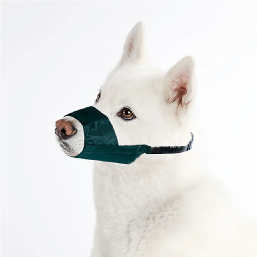 Focinheira exclusiva para cães da TK-Pet
