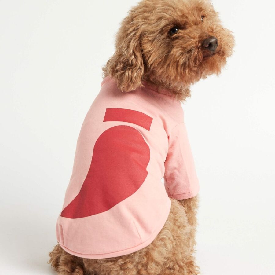 Camiseta Imi