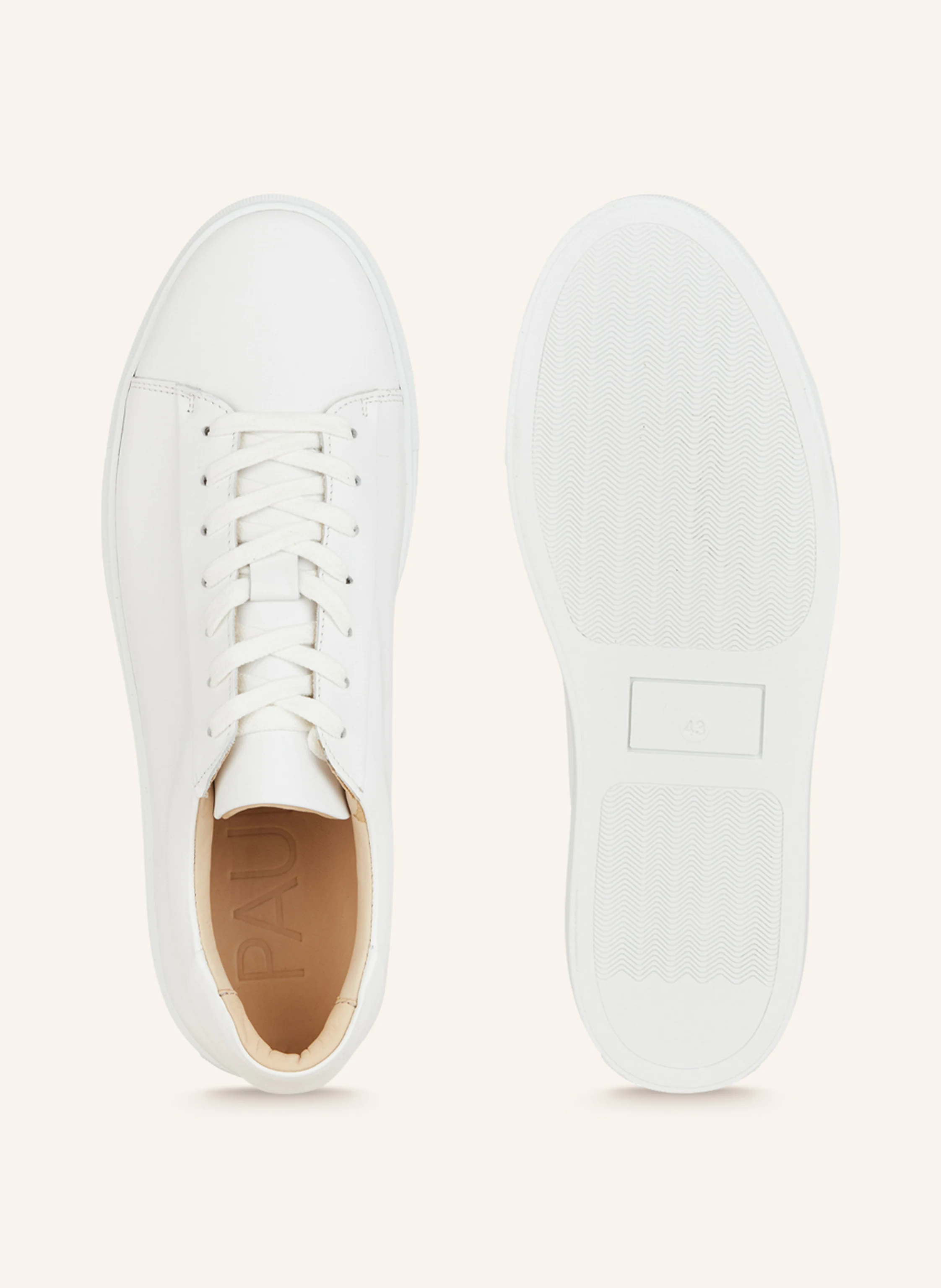 PAUL Sneaker