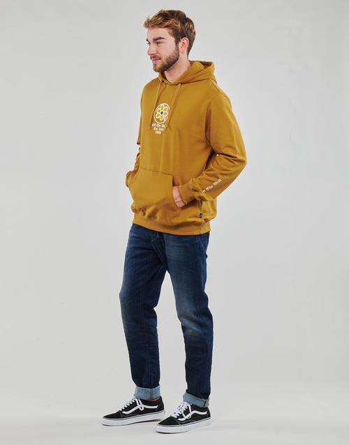 Vans - SCRIPT PO - Camel