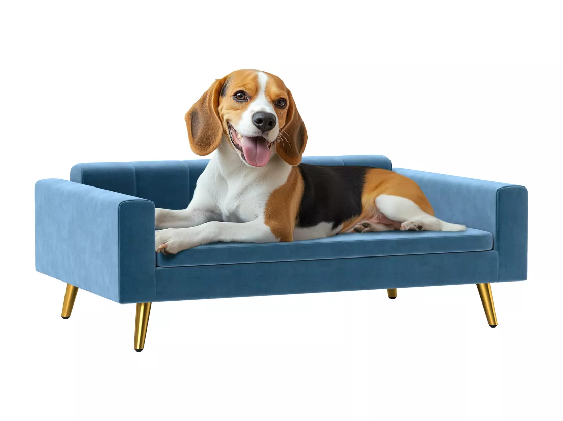 Canapé chien style art déco - dim. 94L x 59l x 31H cm - coussin amovible déhoussable - acier doré velours bleu