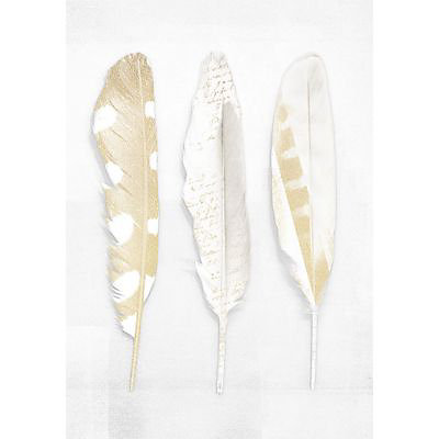 Toile sur chassis Plumes 70 x 100 cm