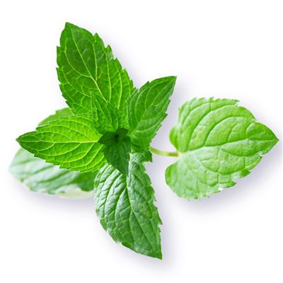 Couette ANTIACARIEN - traitement végétal - Légère - Tempérée - Chaude