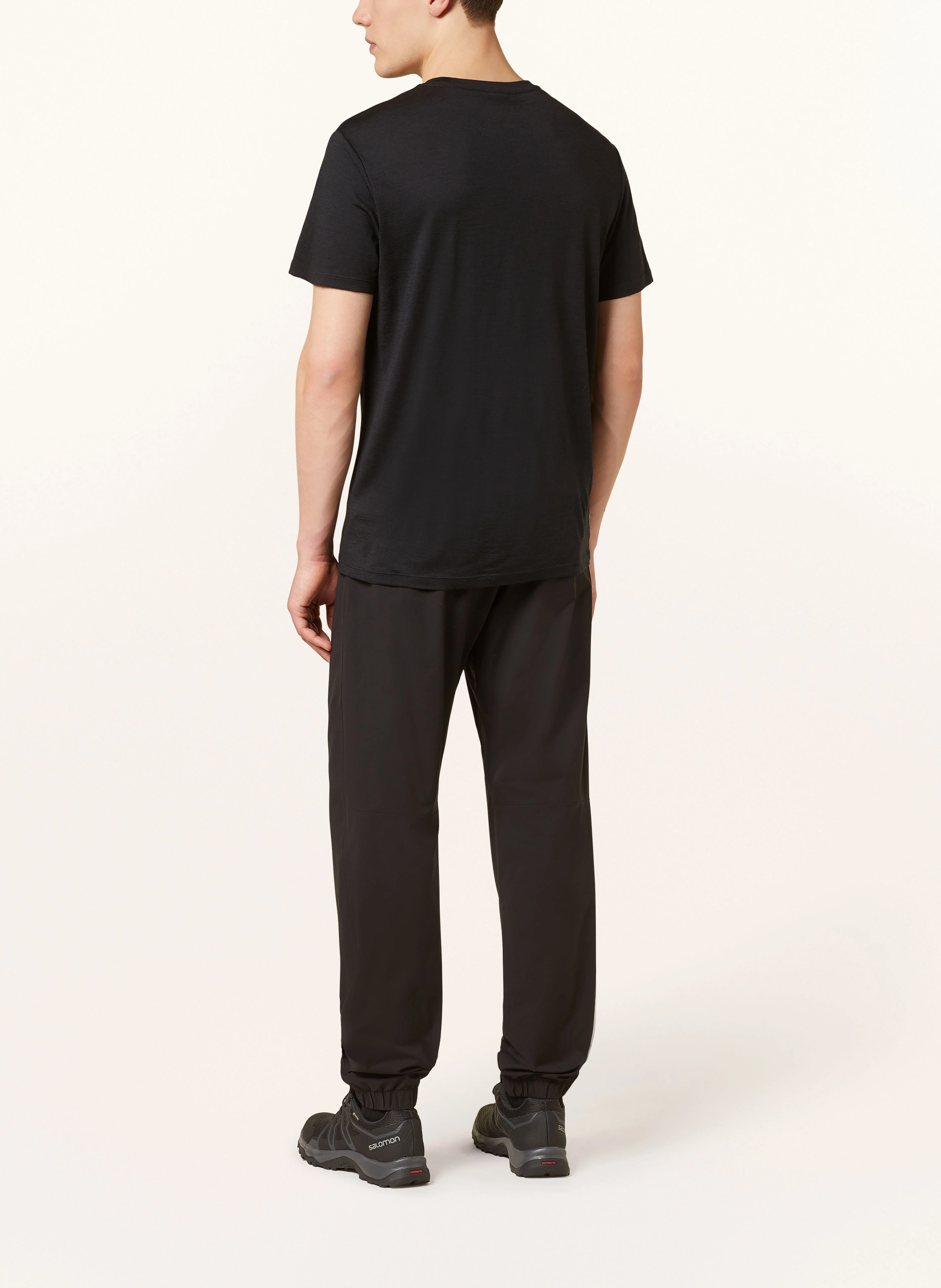 icebreaker T-Shirt MERINO 150 TECH LITE III