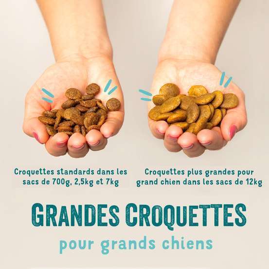Croquettes chien adulte sans céréales à l'agneau - 2,5 kg