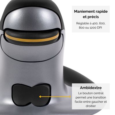 Fellowes - Souris sans fil ambidextre - Grand