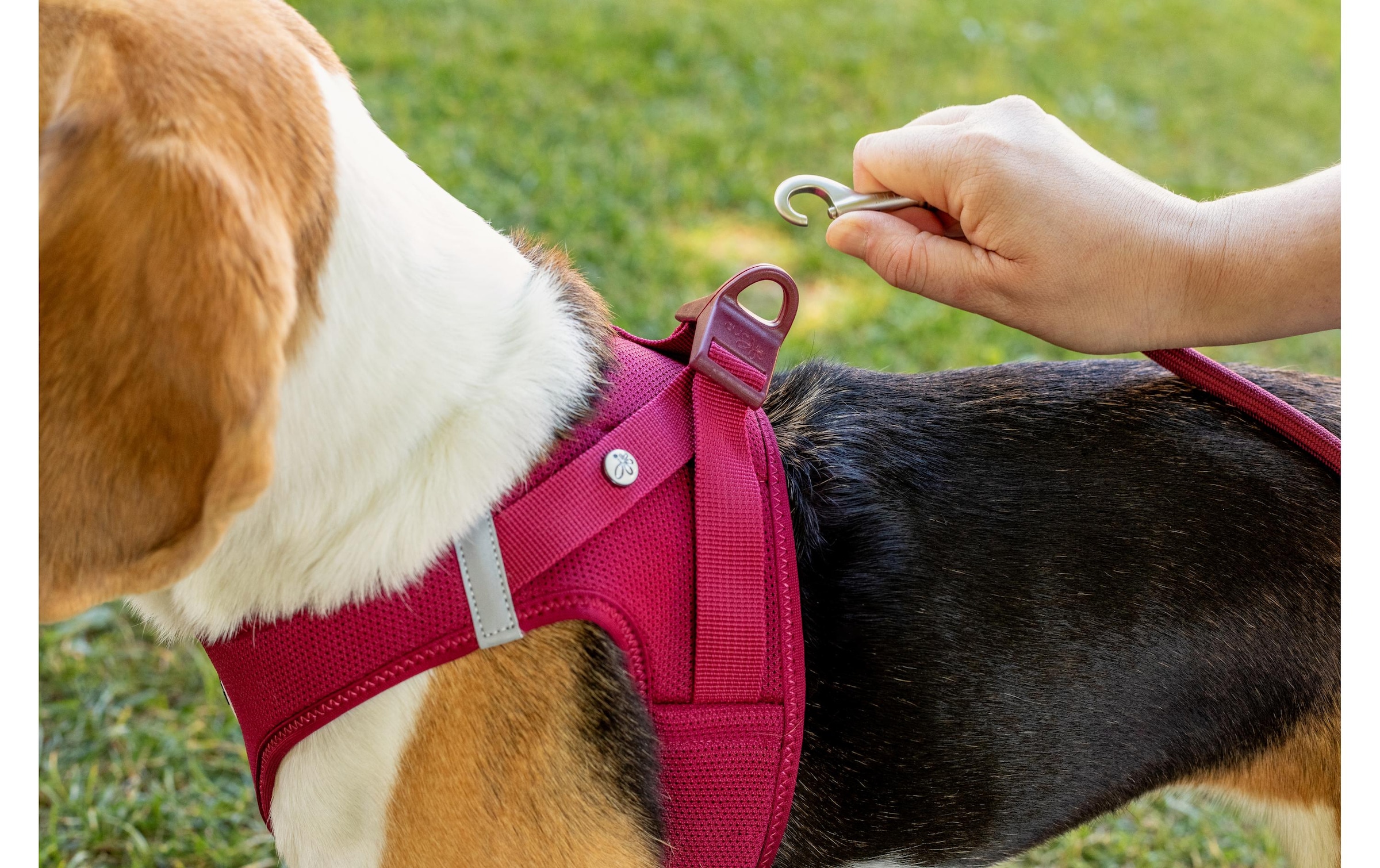 Curli Hunde-Geschirr »Vest Air-Mesh XL« Polyester