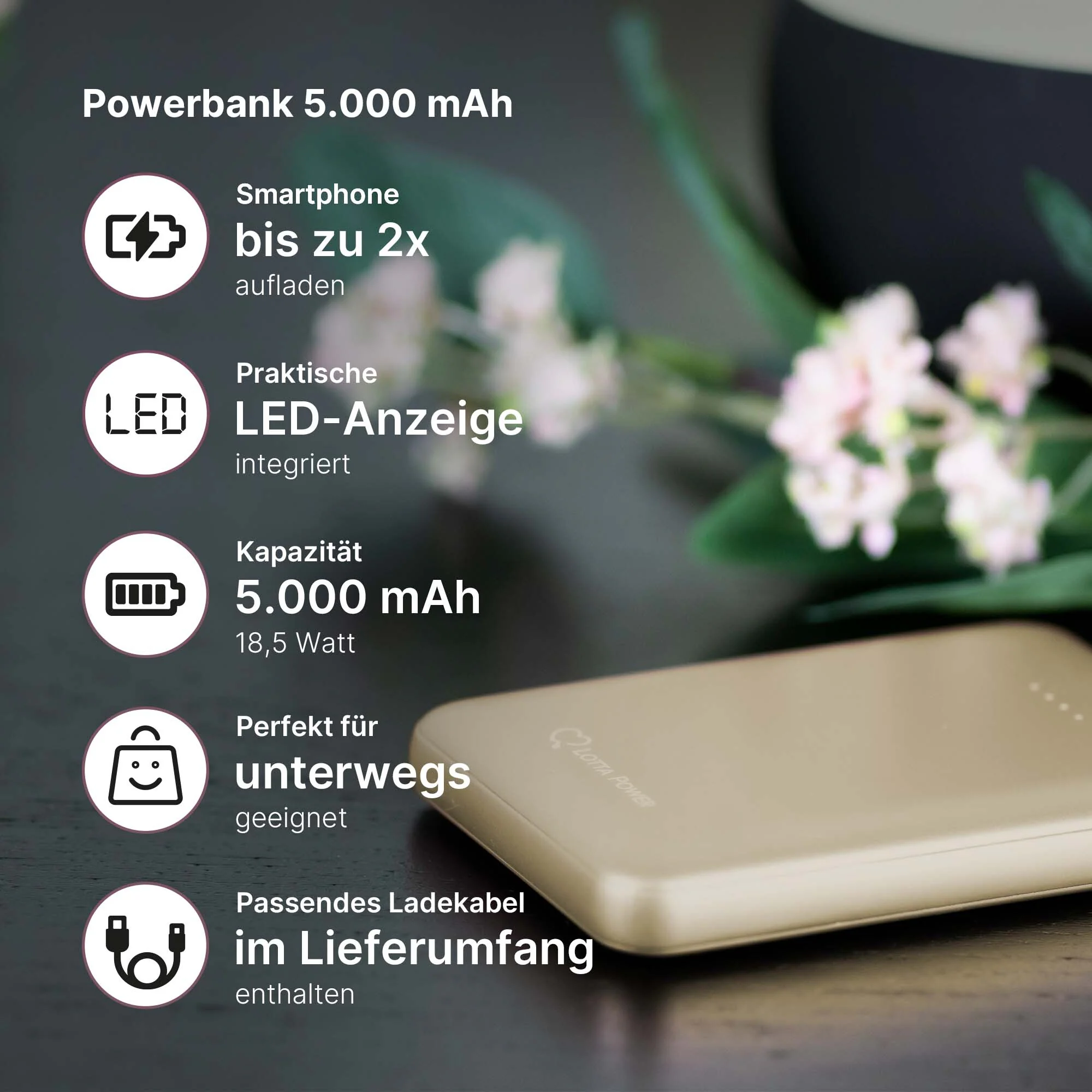 Lotta Power POWERBANKS Powerbank 5000mAh