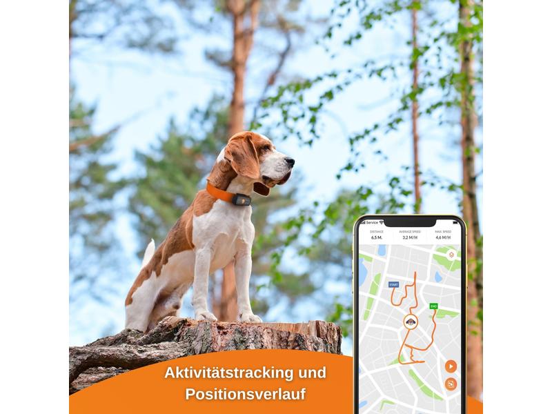 Weenect GPS-Tracker XS für Hunde, Schwarz Der kleinste GPS-Tracker für Hunde mit integrierter Taschenlampe
