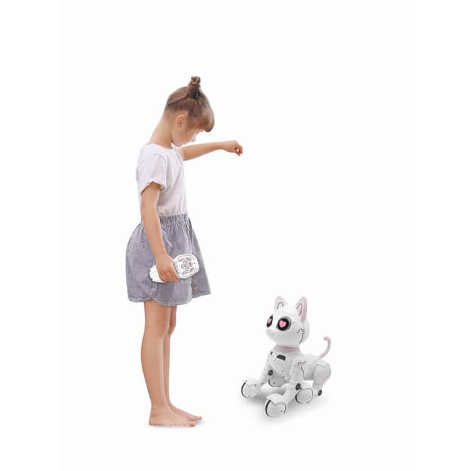Power Kitty  - Meine intelligente Roboterkatze