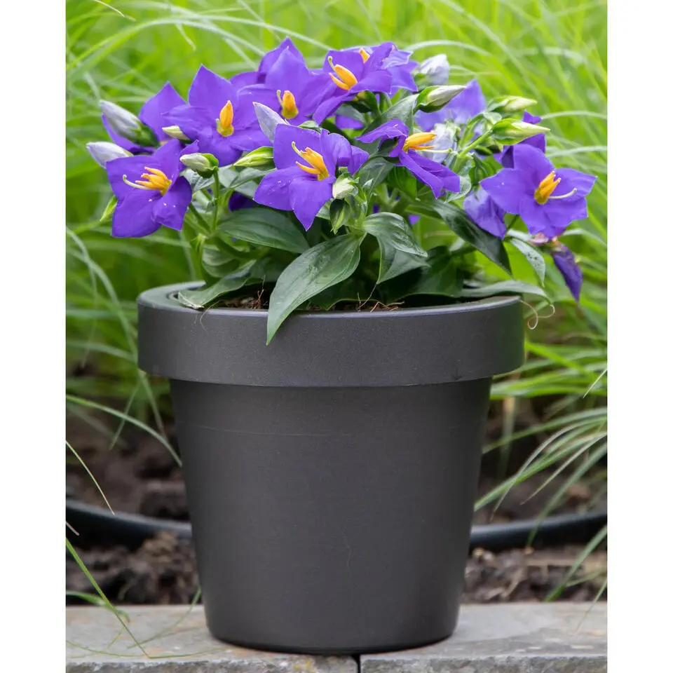 Mega Collections Plantenpot/bloempot - kunststof - zwart - D25 cm