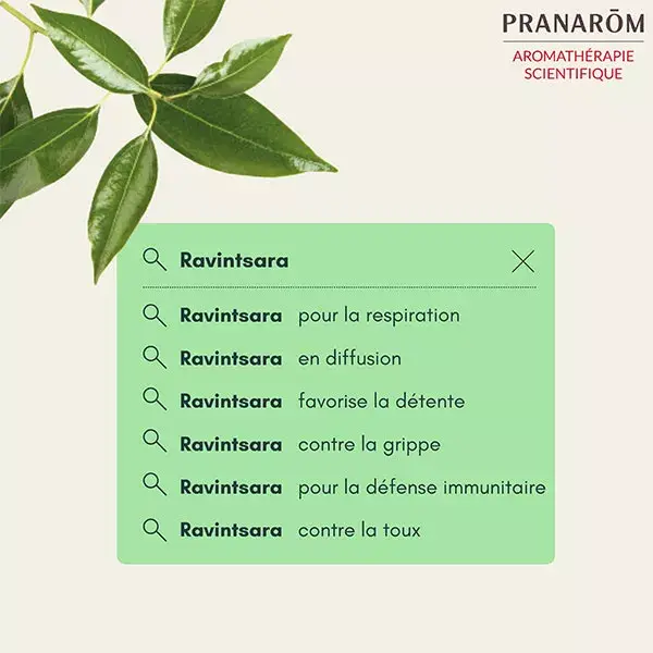 Óleo Essencial Pranarom Ravintsara 10ml