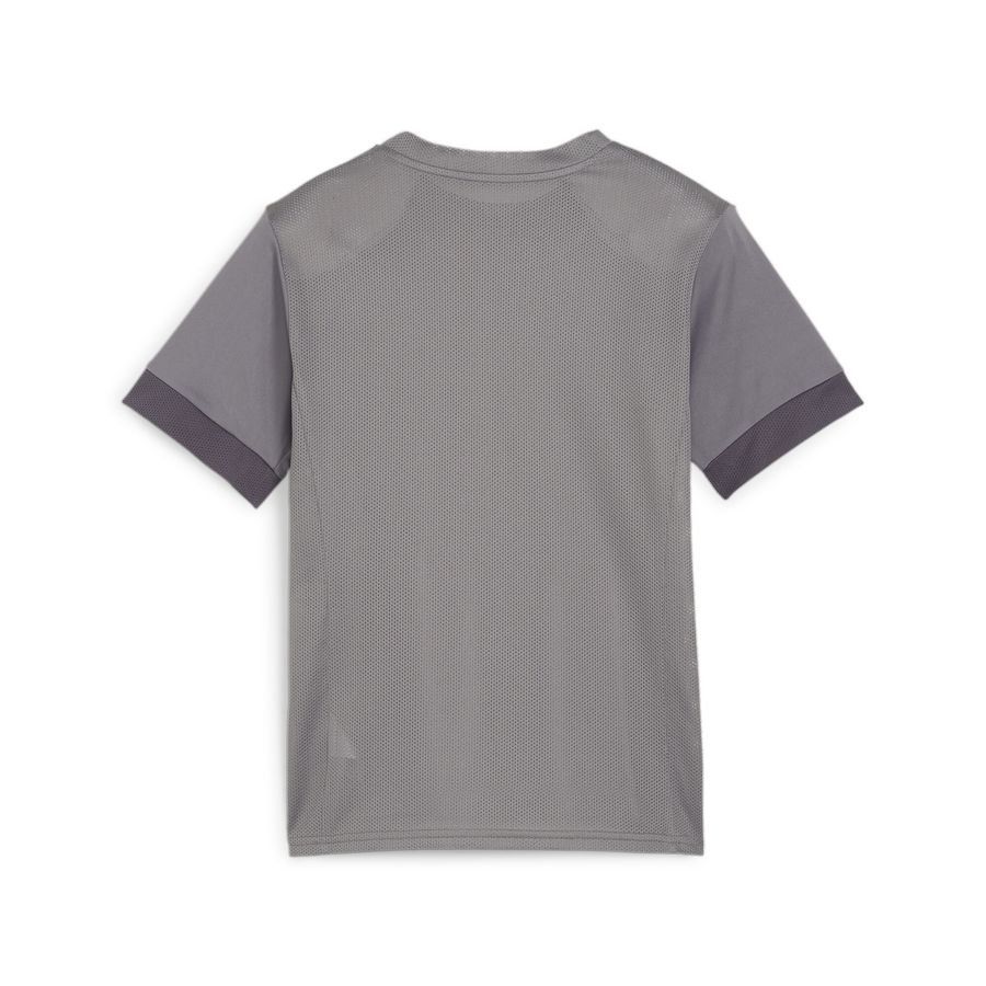 PUMA T-shirt d'Entraînement teamGOAL - Gris/Blanc Enfant