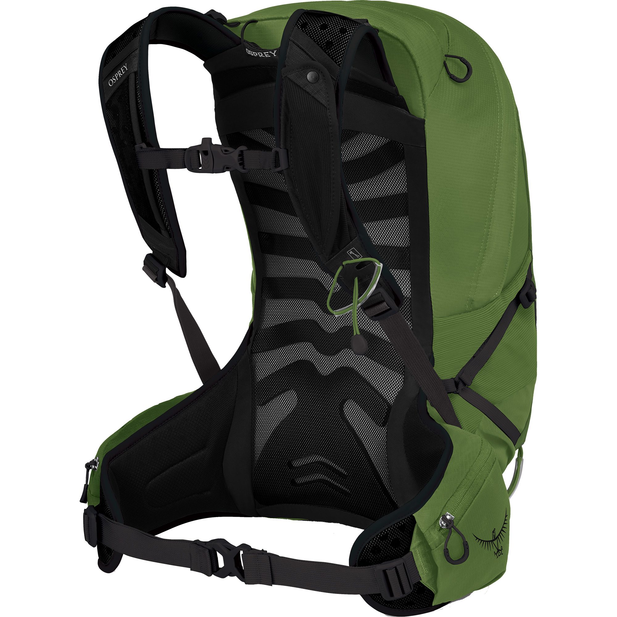 Osprey Talon™ 22l Rucksack Herren green belt