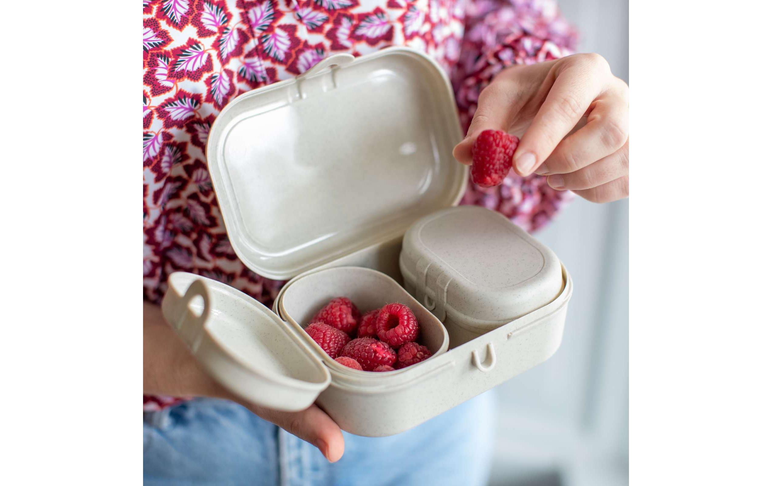 Lunchbox Pascal Ready Mini Grau/GelbGraue Frühstücksdosen
