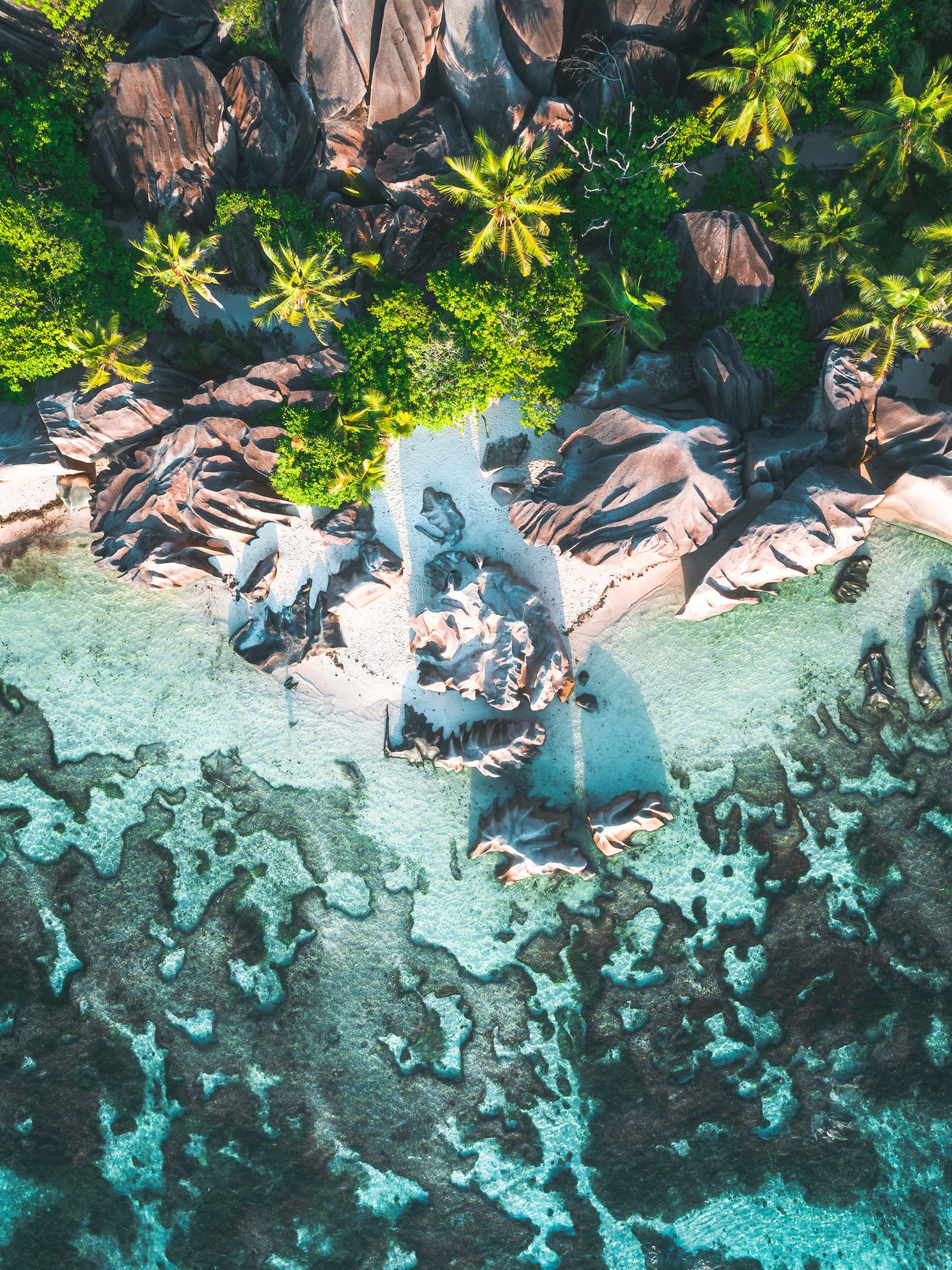 Coral Coast by Kevin Krautgartner - Limited Edition. Edition of: 150. Signed.