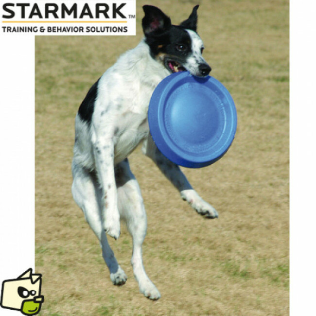 Frisbee Easy Glide Durafoam Starmark en mousse pour chien