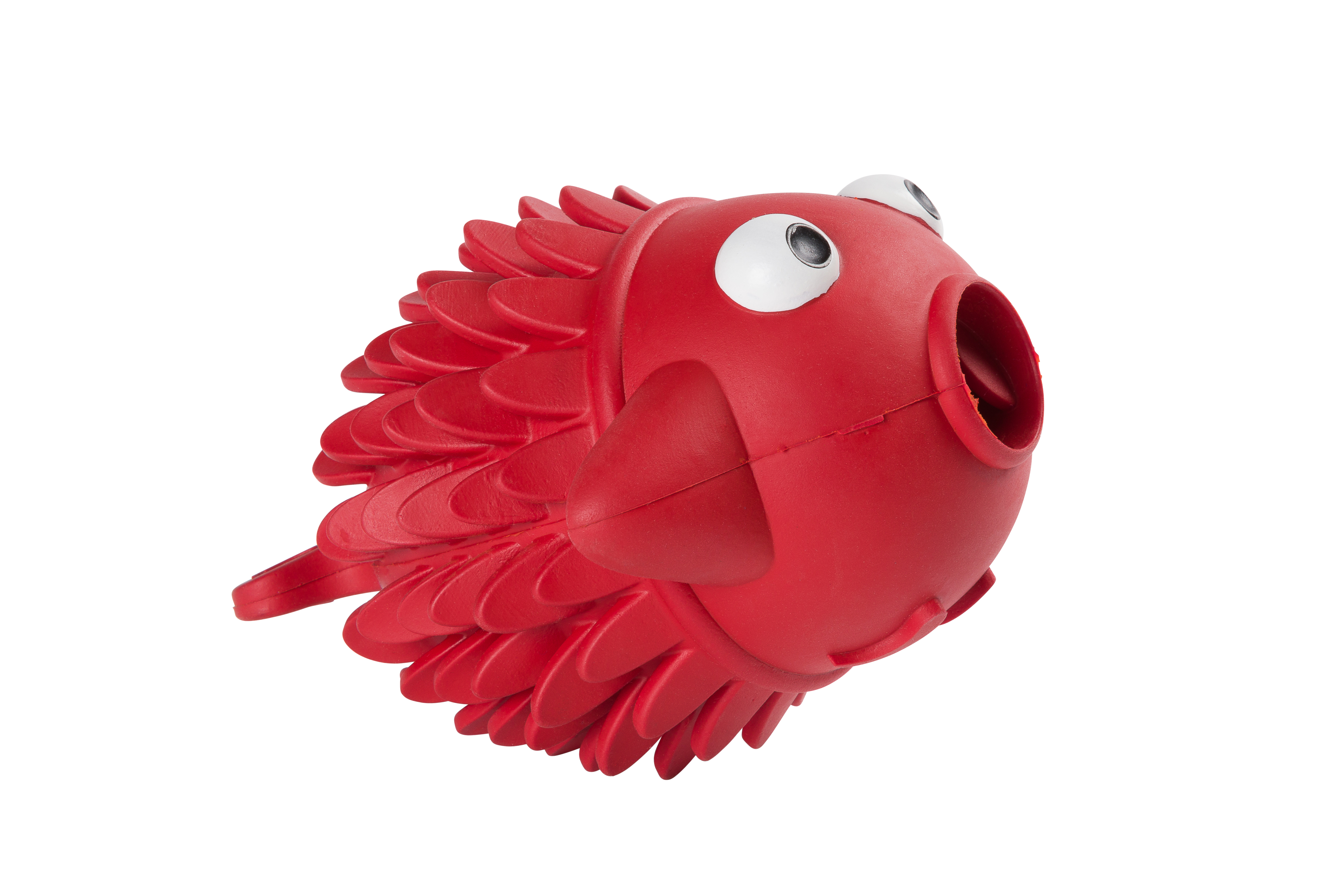 Peixe Eyenimal