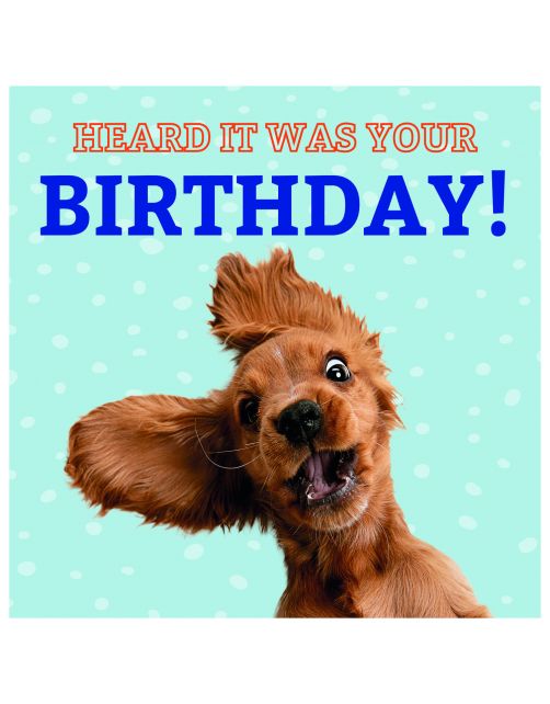 Plenty Gifts Kaart Funny Dog - Cadeau - 13.7x13.7 cm