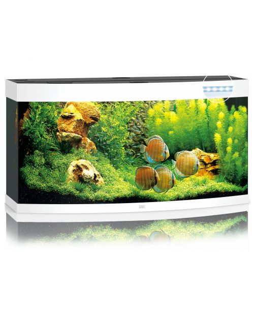 Juwel Aquarium Vision 260 Led 121x46x64 cm - Aquaria