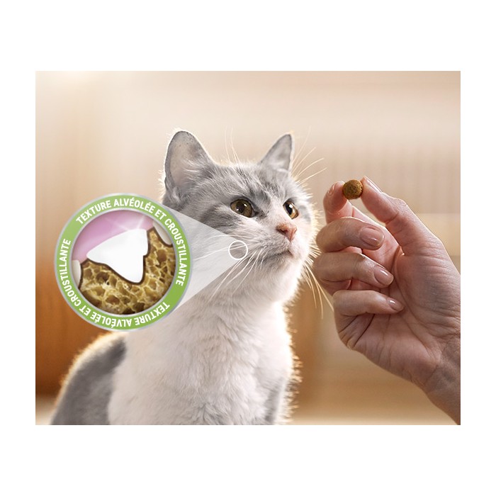 Bouchées Dentalife au poulet - Friandises bucco-dentaires pour chat