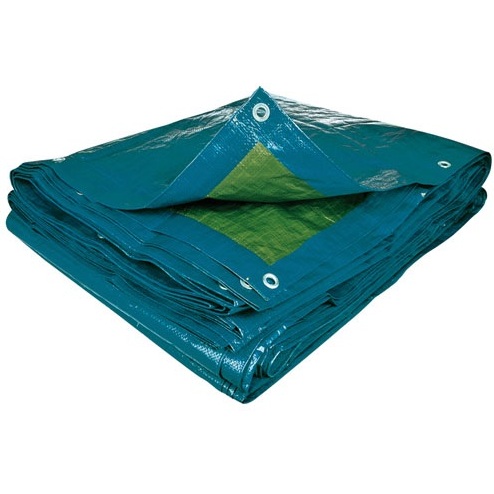Bâche éco multiusage 70 g/m² 2 x 3 m  bleu/vert