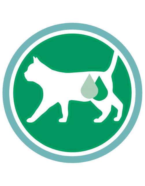 Purina One Indoor Formula Kalkoen - Kattenvoer