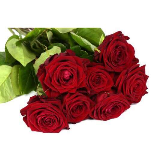 Botte de Roses 'Red Naomi' - 7 tiges : rouge