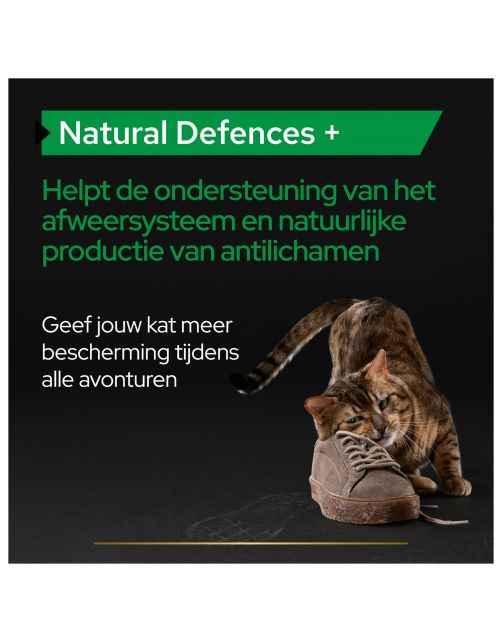 Pro Plan Kat Natural Defence Supplement - Voedingssupplement - 60 g Poeder