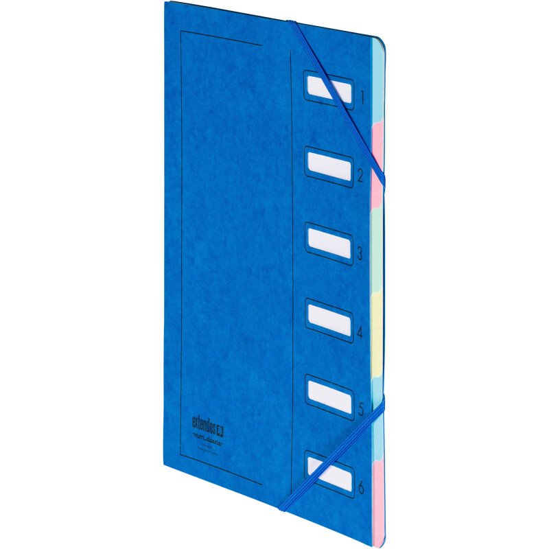 Trieur carte Extendos à fenêtres 6 divisions couleur