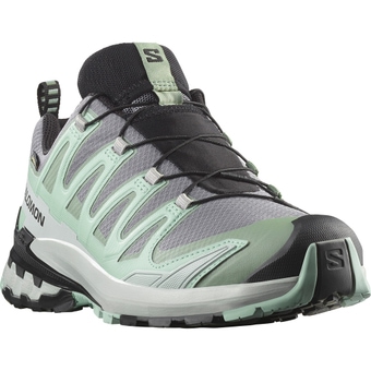 Salomon XA Pro 3D V9 GTX Laufschuhe Quiet Shade / Lily Pad / Blue Haze Damen
