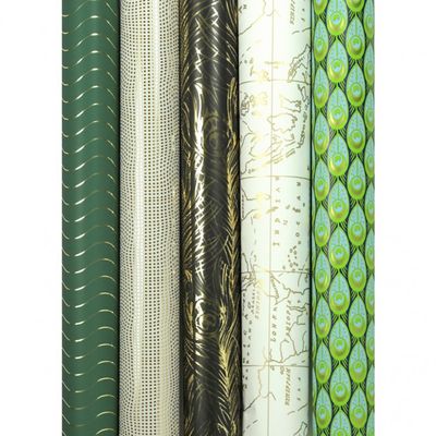 Clairefontaine Premium - Papier cadeau - 70 cm x 2 m - 80 g/m² - collection travel