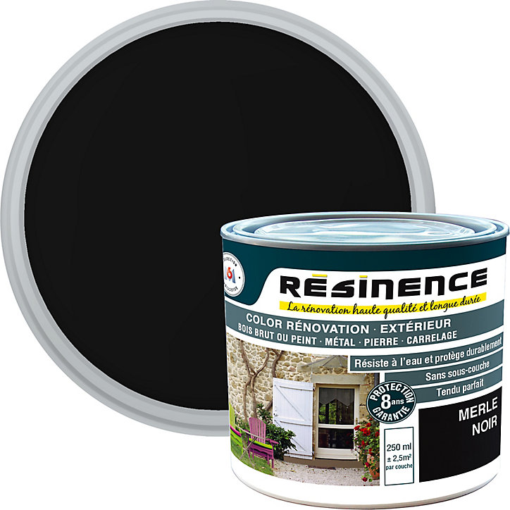 Résine de rénovation extérieur multi-support merle noir satin Résine extérieur nce 0,25L
