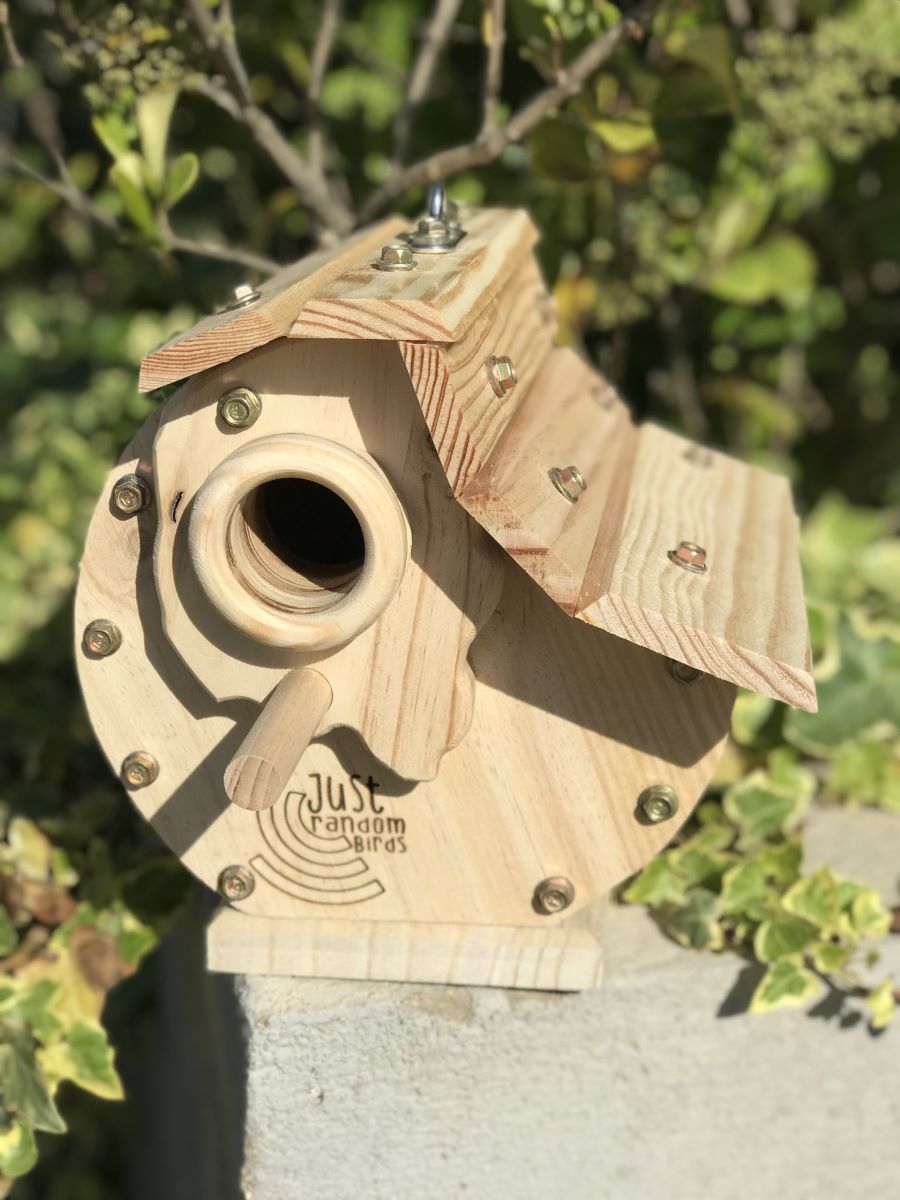 Casinha de lascas de madeira do mundo, pio lua para pássaros