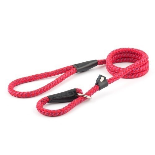 Guia tradicional de nylon para cães, vermelha