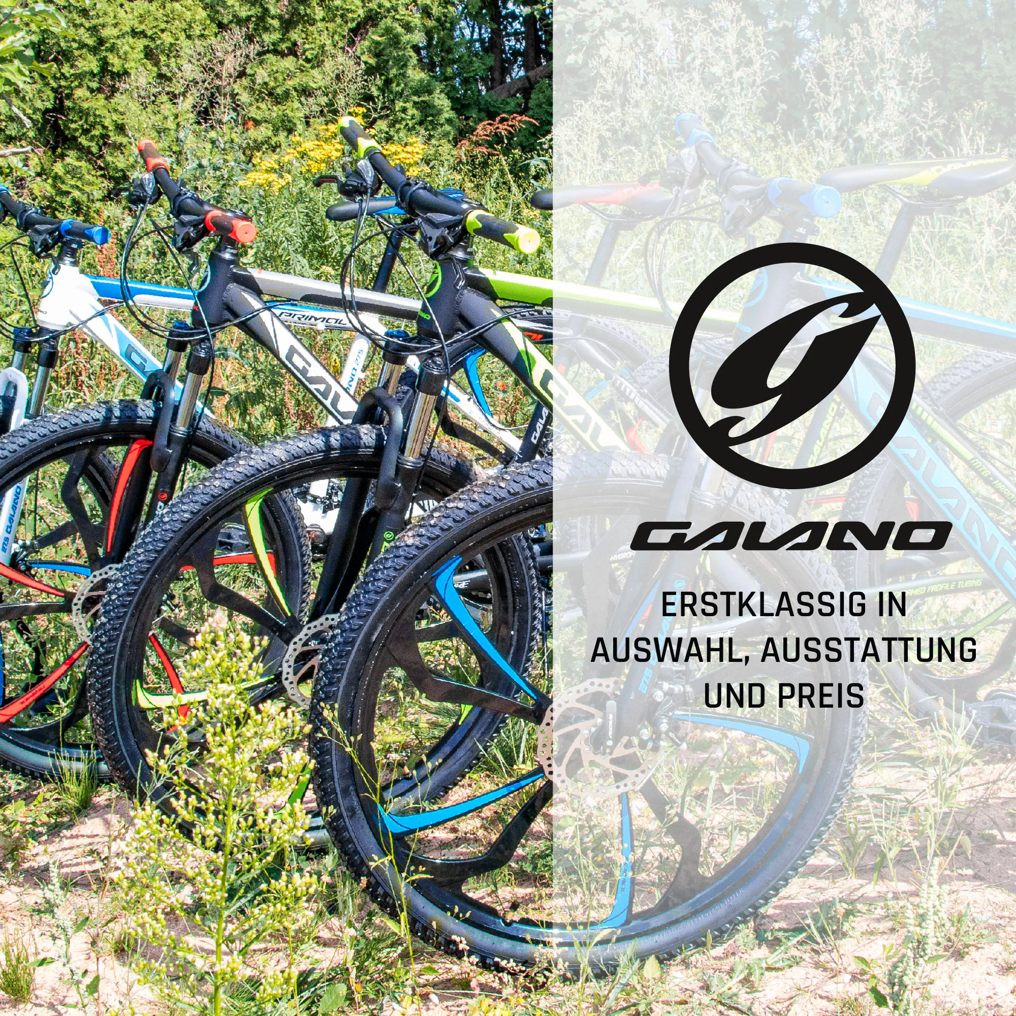 Galano Primal Mountainbike 27,5 Zoll für Jugendliche und Erwachsene 165 - 185 cm MTB Hardtail Fahrrad
