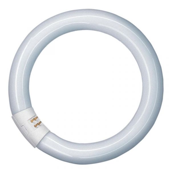 Osram L 32W/840 C G10Q - 581143