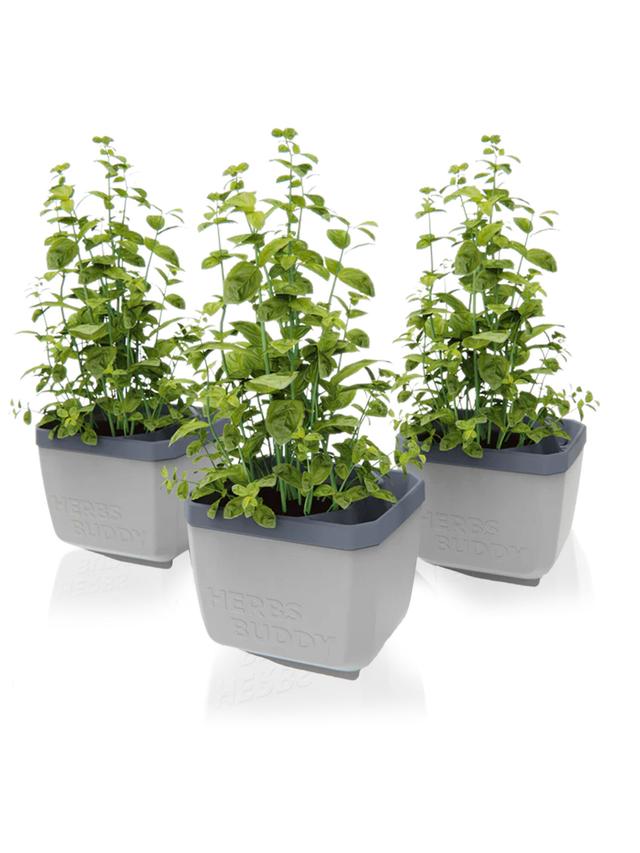 HERBS BUDDY 3er-Set – Clevere Kräutertöpfe