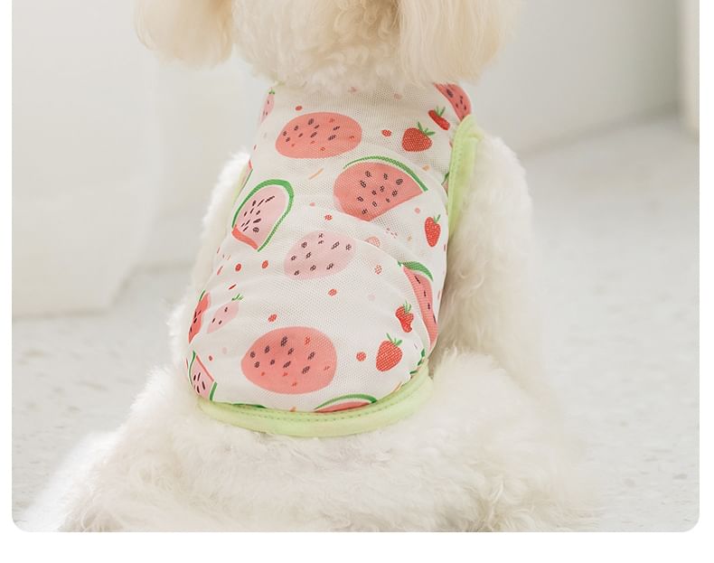Cissilli - Fruit Pet Top (verschillende ontwerpen)
