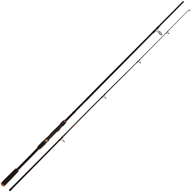 Canne Spinning Autain Suissex Kamina Ii