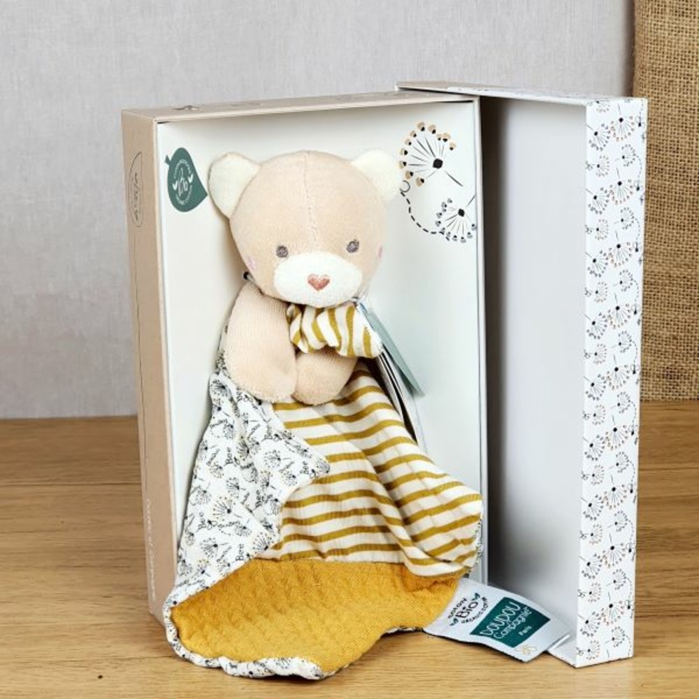 Coffret arbre de naissance, un bonsaï et son doudou ours bio