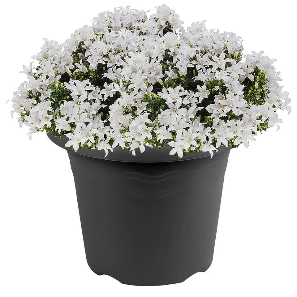 Plantenpot - antraciet - rond - 30 cm