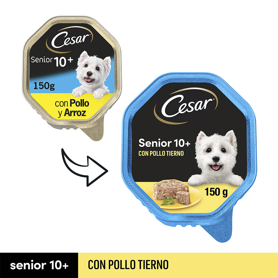 Pote de gelatina de frango e arroz Cesar para cães idosos
